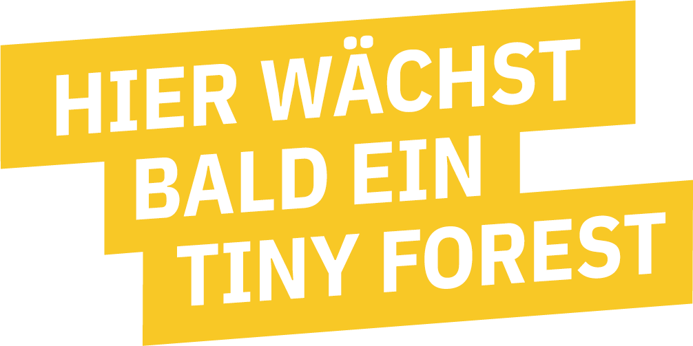 hier-wächst-bald-ein-tiny-forest