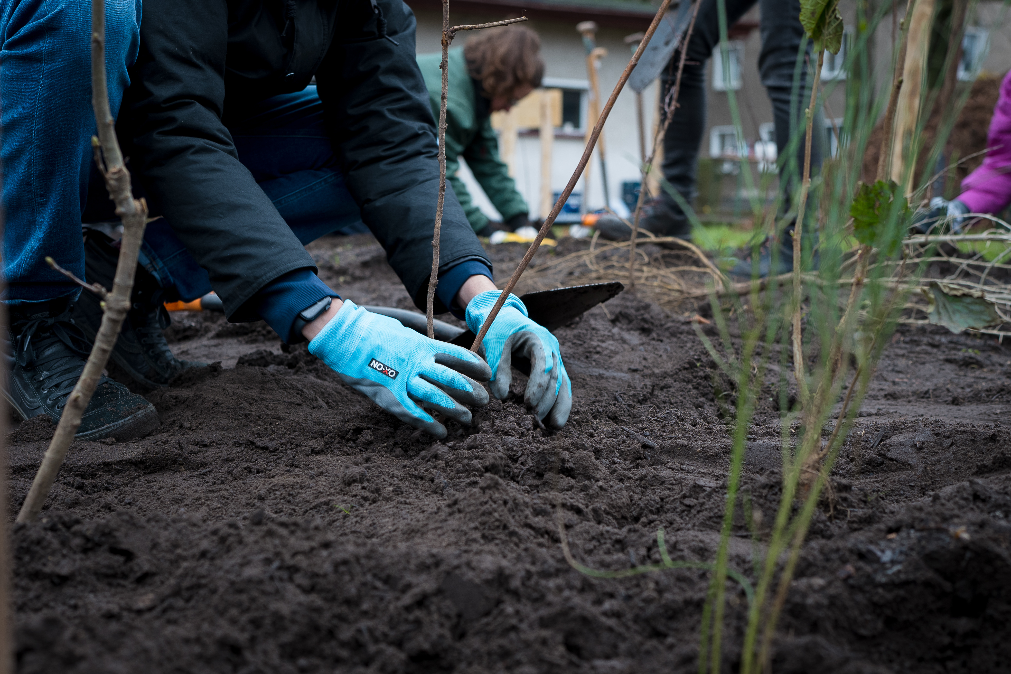 Über 60 Freiwillige beim Pflanztag des Tiny Forest Fahrbereitschaft in Berlin-Lichtenberg