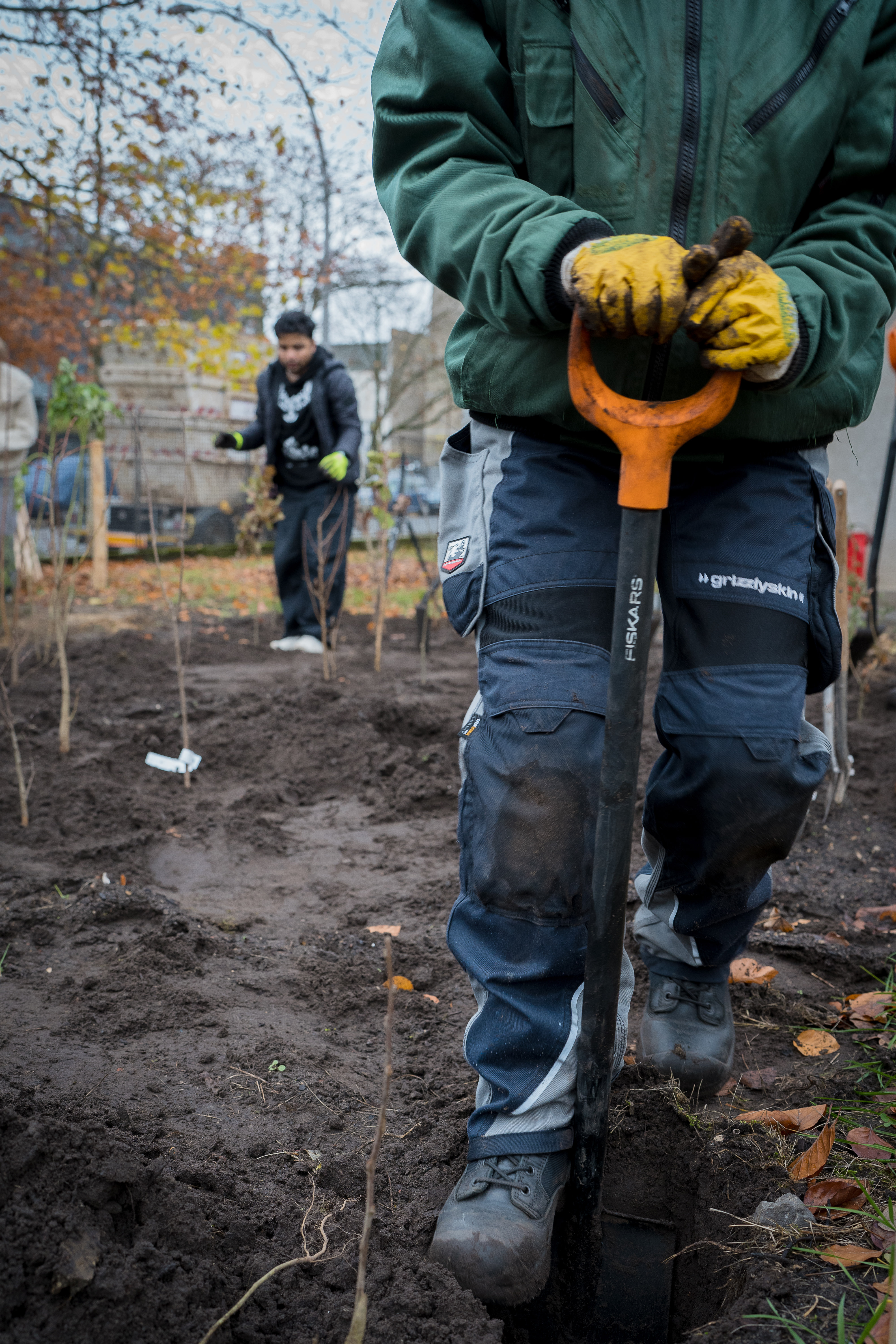 Pflanztag des Tiny Forest an der Fahrbereitschaft in Berlin-Lichtenberg, 29. November 2024