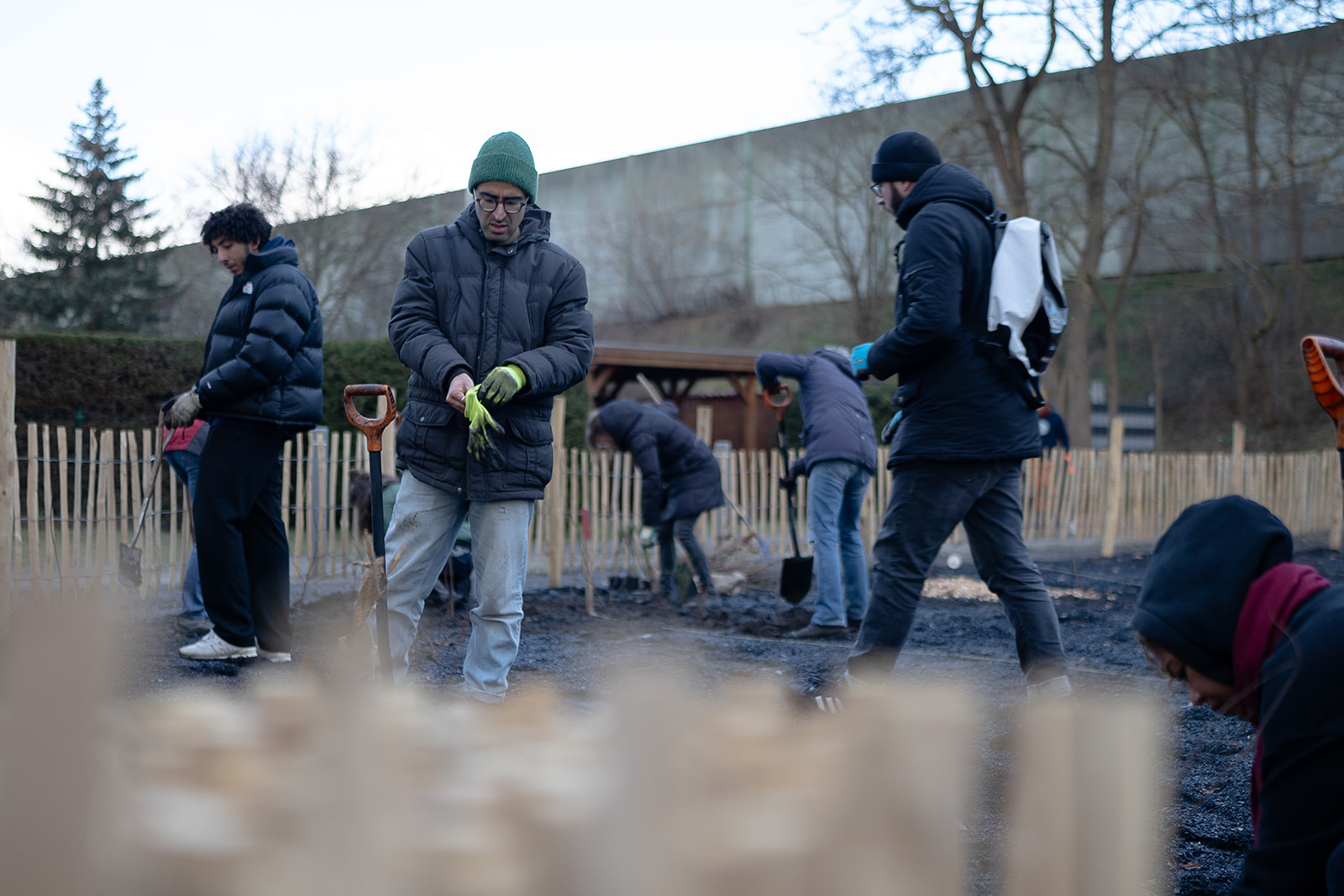 Über 60 Freiwillige beim Pflanztag des Friedenswäldchen in Bernau bei Berlin im Wintersonnenschein