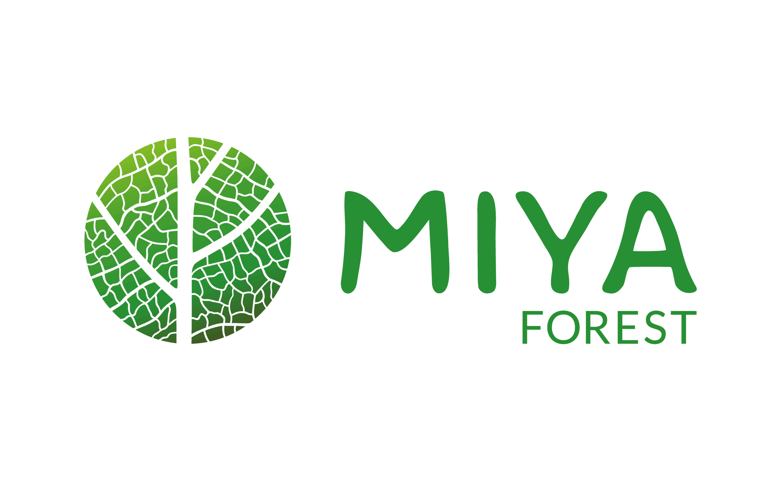 Logo-Miya_VerlaufGruen_horizontal_gr-scaled